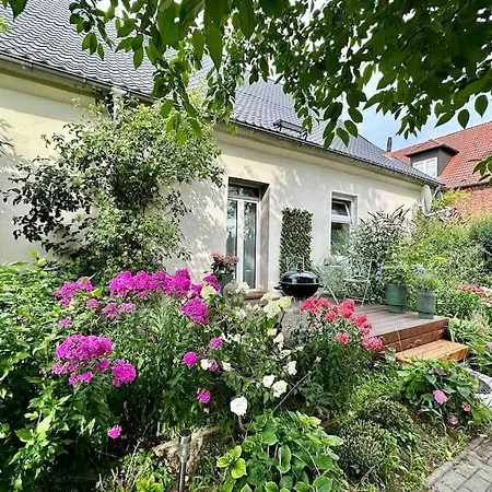 Zu Vermieten Apartment *